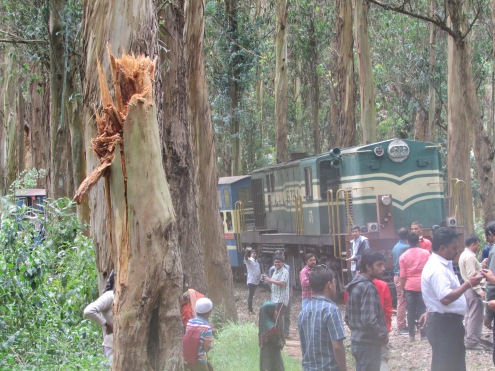 Aftermath of tree crash passengers help clear debris