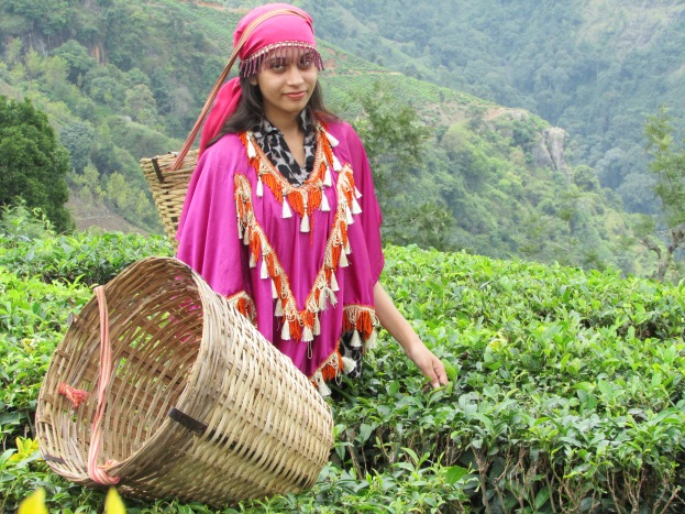 An Indian Tourist posing for a photo just above the tea plantation